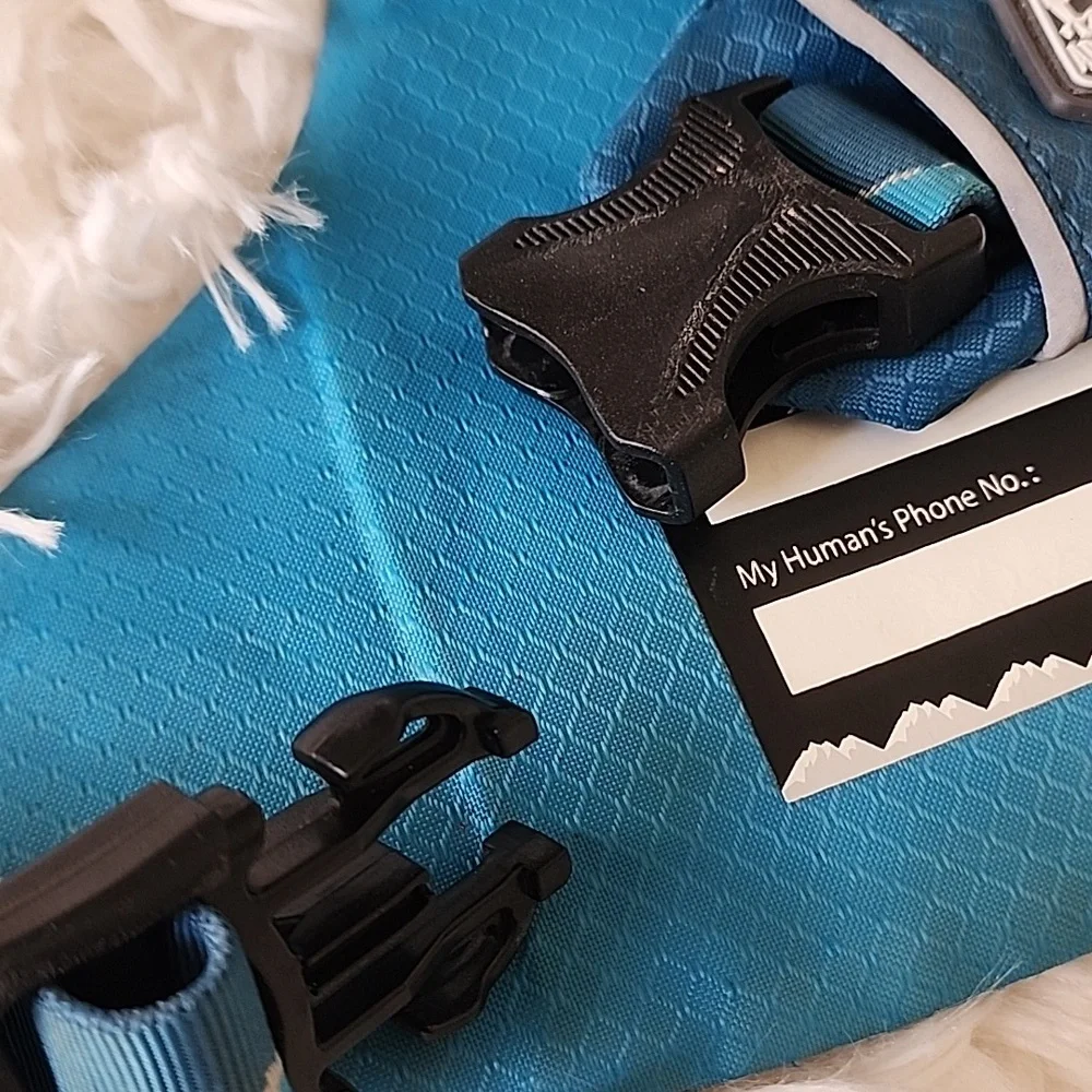 Arcadia Trail Dog Harness Blue Medium - Picture 5 of 7